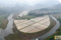 慈利县2024年计划种植水稻34万亩，总产16.545万吨