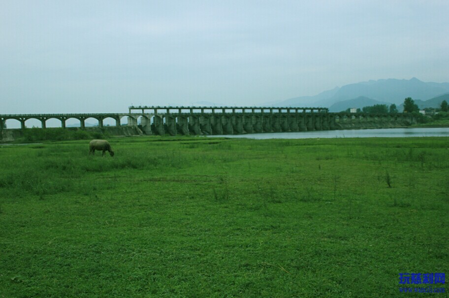 绿意浓浓