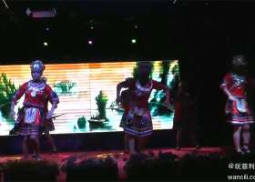 【视频】慈利琵琶洲客栈消夏狂欢夜张家界民族特色舞蹈