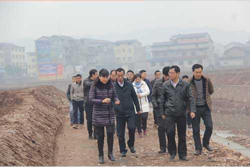 邱初开视察慈利农村土地综合整治项目