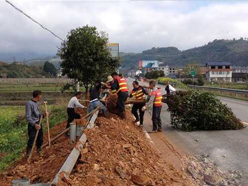 慈利县大力推进龙阳公路绿化建设