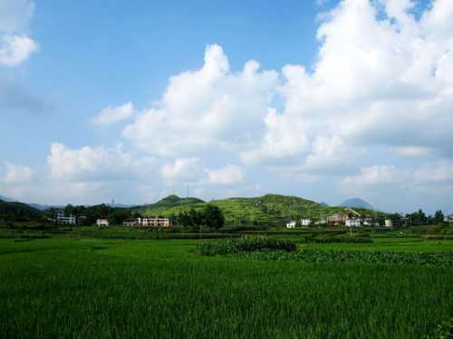 金慈银澧大地，风景这边独好