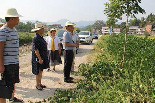 湖南省发改委来慈利调研高标准农田建设