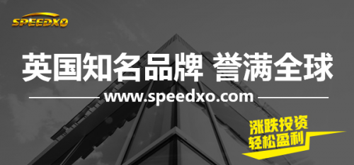 极速新欧SPEEDXO：新兴投资热潮的领航者