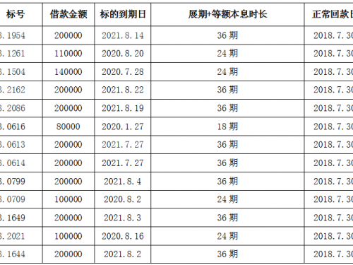 金桥梁还款进行中 展期并不意味着“定期”