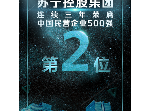 苏宁为何又进中国民营企业500强三甲，一组数字告诉你答案