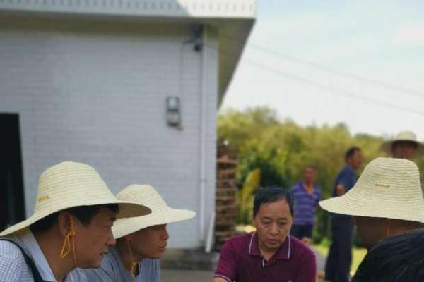 战高温斗酷暑，慈利优质服务迎炉慈高速开建