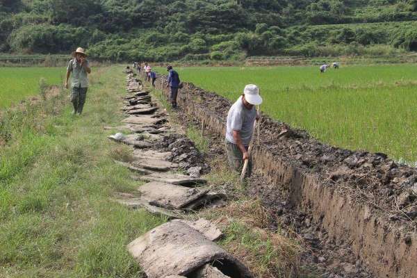 计划开垦1400余亩，慈利县启动6个占补平衡旱地改水田项目