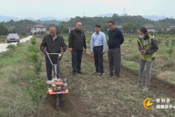 国家农业农村部调研慈利县丘陵山区田土宜机化改造工作