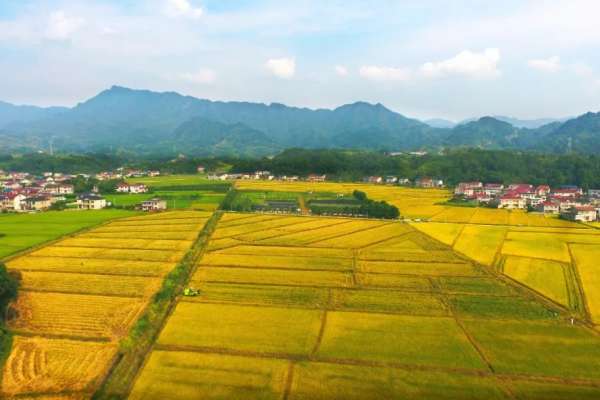 慈利县：确保耕地农田保有量，守住永续发展基本盘