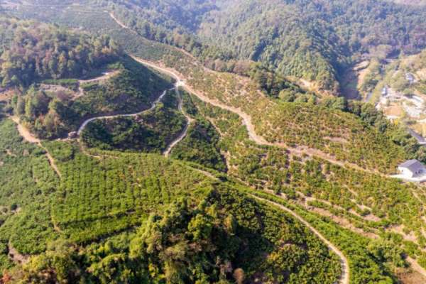 慈利县零溪镇大庄村：小山峪实现大蝶变