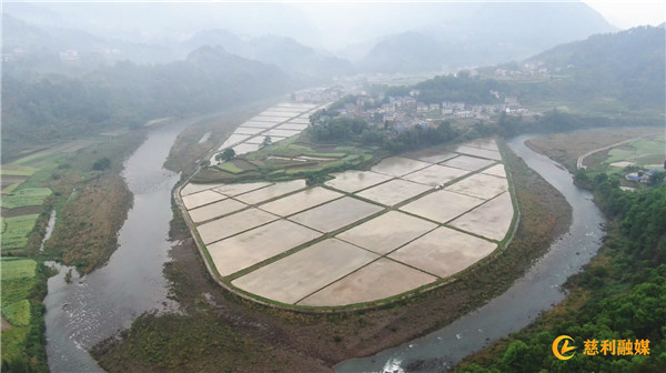 慈利县2024年计划种植水稻34万亩，总产16.545万吨